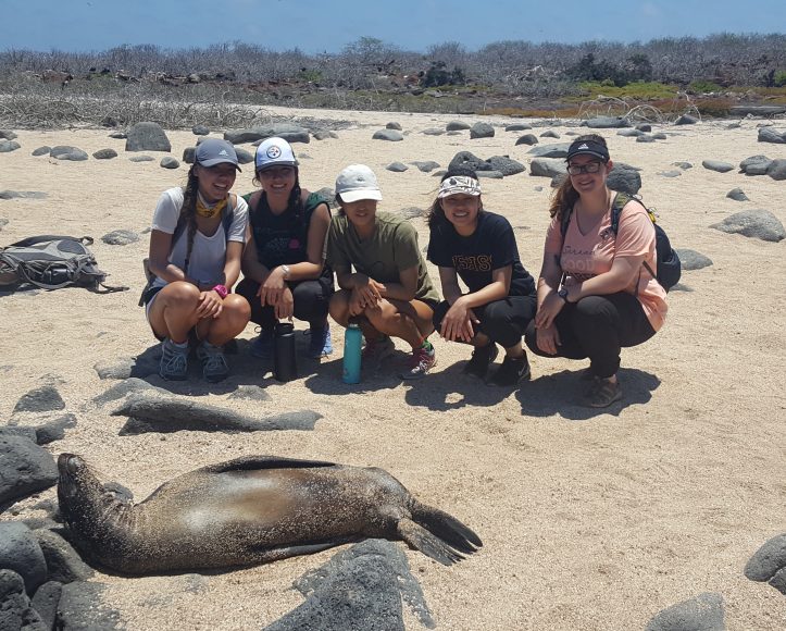 On North Seymour Island, the group takes pictures with various native animals, including the Galápagos sea lion.